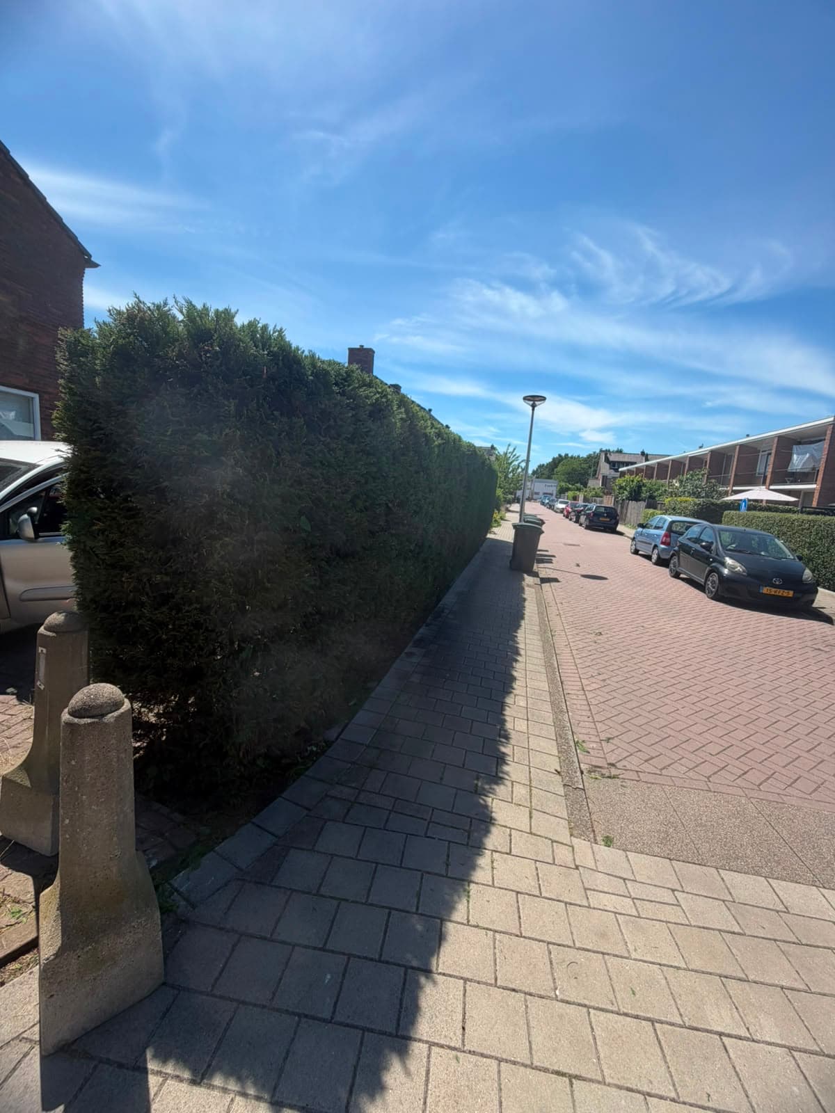 Heg na het snoeiwerk in Krimpen aan den IJssel