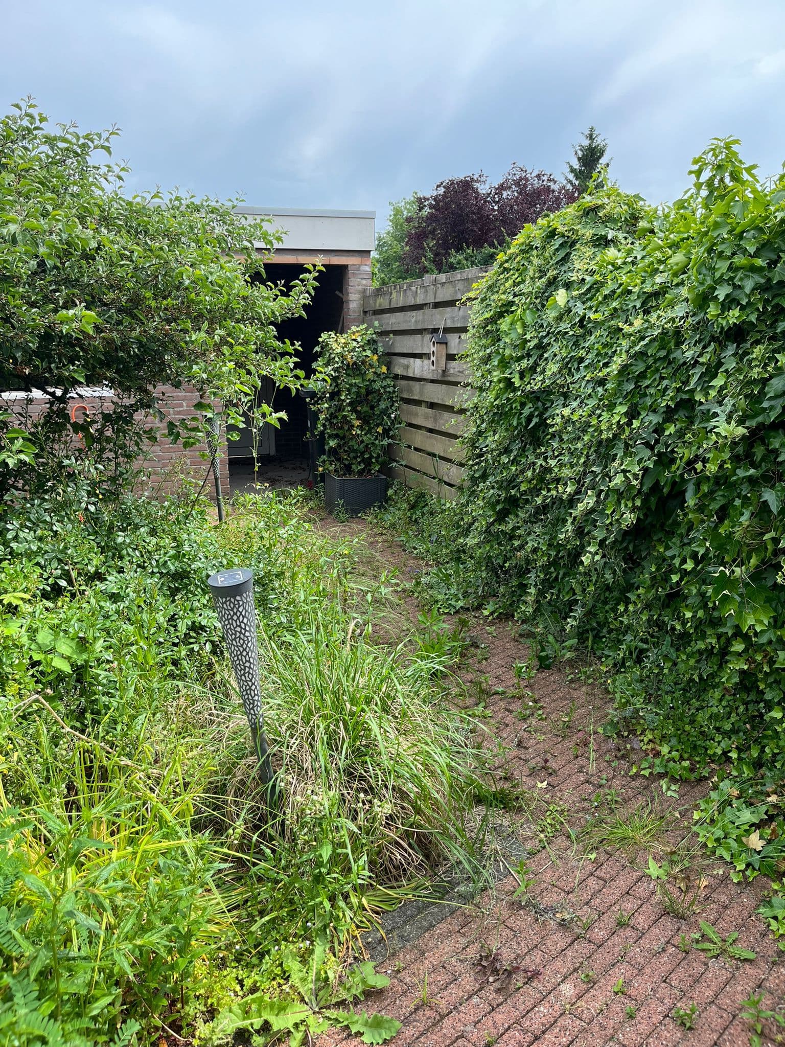 Tuin vóór het onderhoud in Nieuwegein